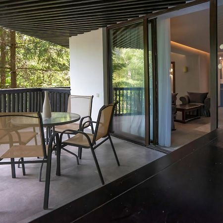 Poiana Brasov Alpin Executive Apartment Dış mekan fotoğraf
